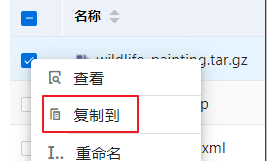 复制到界面