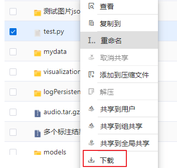 下载界面