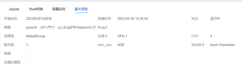 开发环境详情界面